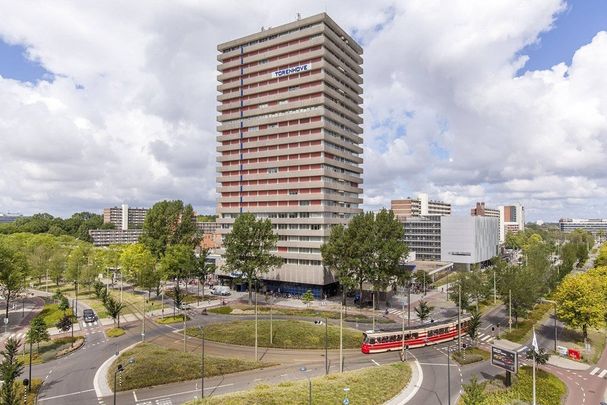 Te huur: Appartement Martinus Nijhofflaan in Delft - Foto 1