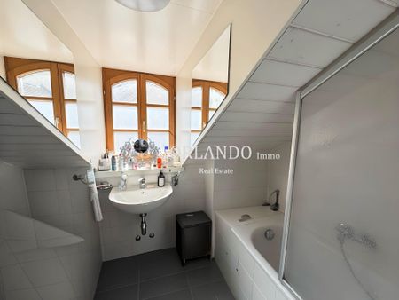 Beautiful 3-room apartment in antique in Carouge - Photo 3