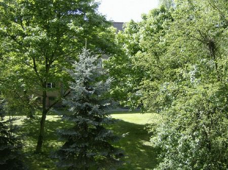 Sonniger Balkon gewünscht? - Photo 3