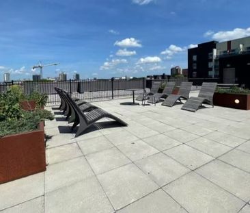 For Lease - 308 Lester Street Unit# 210, Waterloo, Ontario - Photo 2