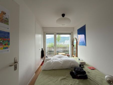 Grosszügige 4,5-Zimmer-Attikawohnung mit weitläufiger Panoramaterrasse - Photo 4