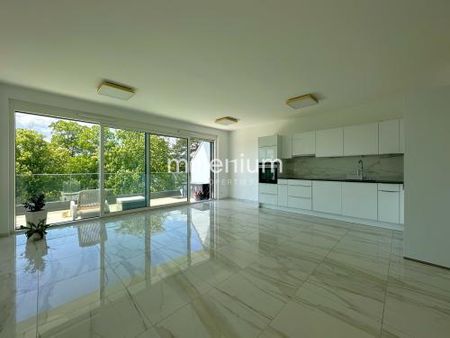 Appartement meublé 3P au quartier des Eaux-Vives - Foto 3