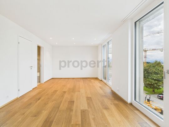 Modernes Wohnen im Herzen von Root 4.5 Zimmer Neubauwohnung mit Stil und Komfort - Photo 1