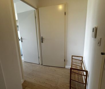 Location Appartement 1 pièce 24m² FERRIERES EN BRIE 77164 - Photo 6