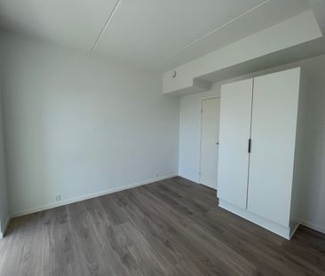Gyldenrisvej - Photo 2