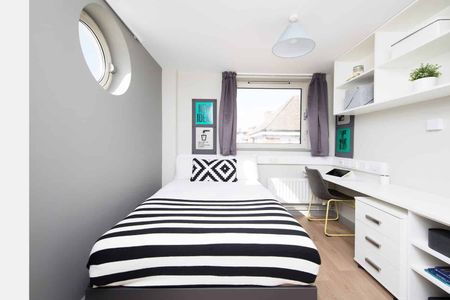 Medium High Double Studio - Photo 5