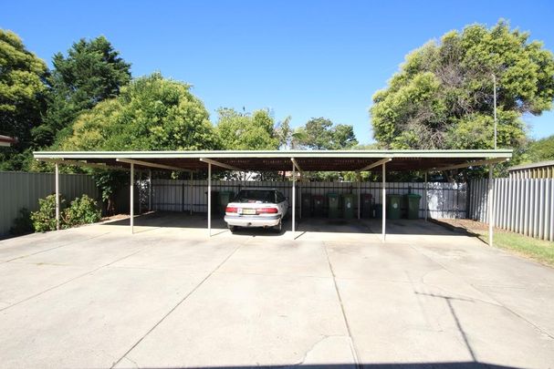 Fly Solo in this Fantastic Flat - Photo 1