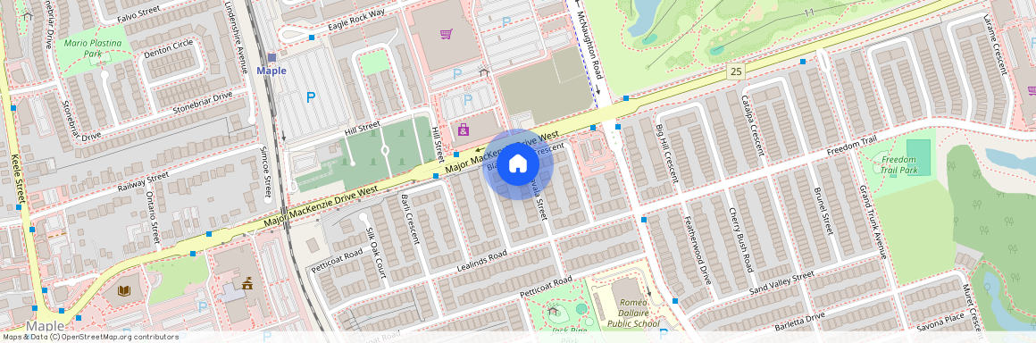 86 Black Maple Crescent Unit# BSMT, Vaughan