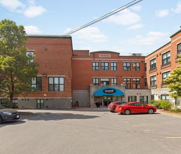 Sandy Hill Apartments - 353 Friel Street - Photo 6