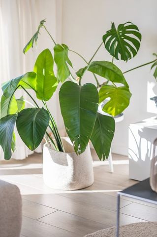 Appartement te huur - Photo 4