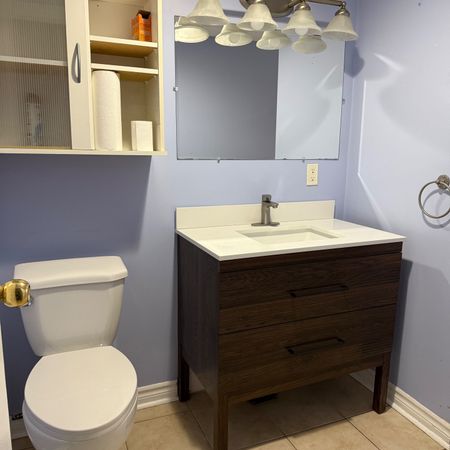 For Lease - 252 Osmond Crescent Unit# Lower W/O, Newmarket, Ontario - Photo 3