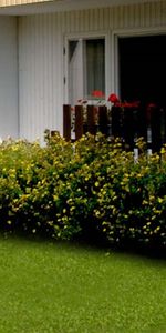 Bergsgatan 6 B - Foto 3