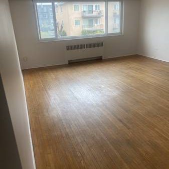 Pet friendly, large 1 bedroom suite near Highgate - Photo 4