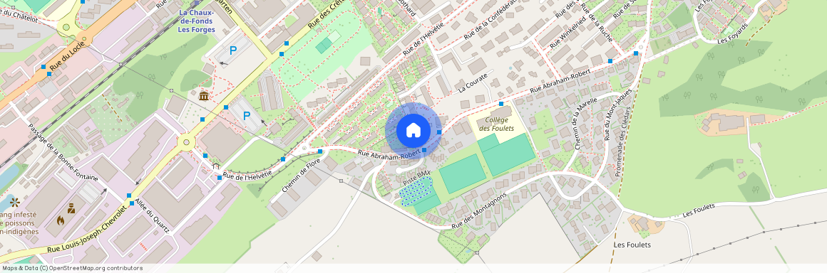 Rue Abraham-Robert 49, 2300 La Chaux-de-Fonds, Suisse