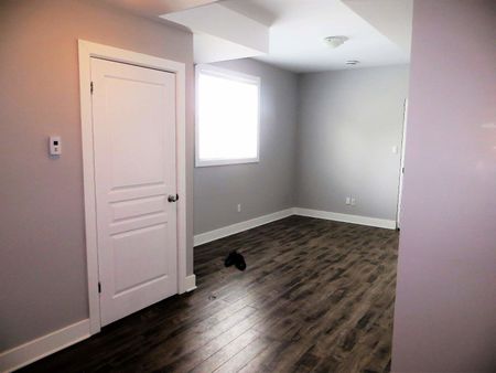 103 Henderson, Sandy Hill, Ottawa, ON - Photo 4