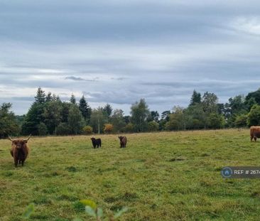 3 bedroom bungalow to rent - Photo 2