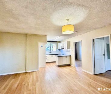 Convenient Queanbeyan Living - Photo 3