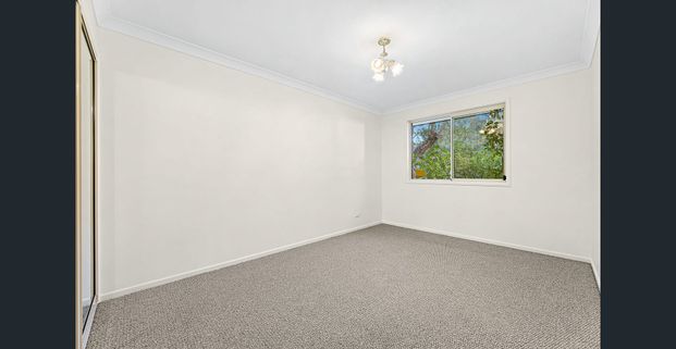 Sensational Sunshine - Photo 1