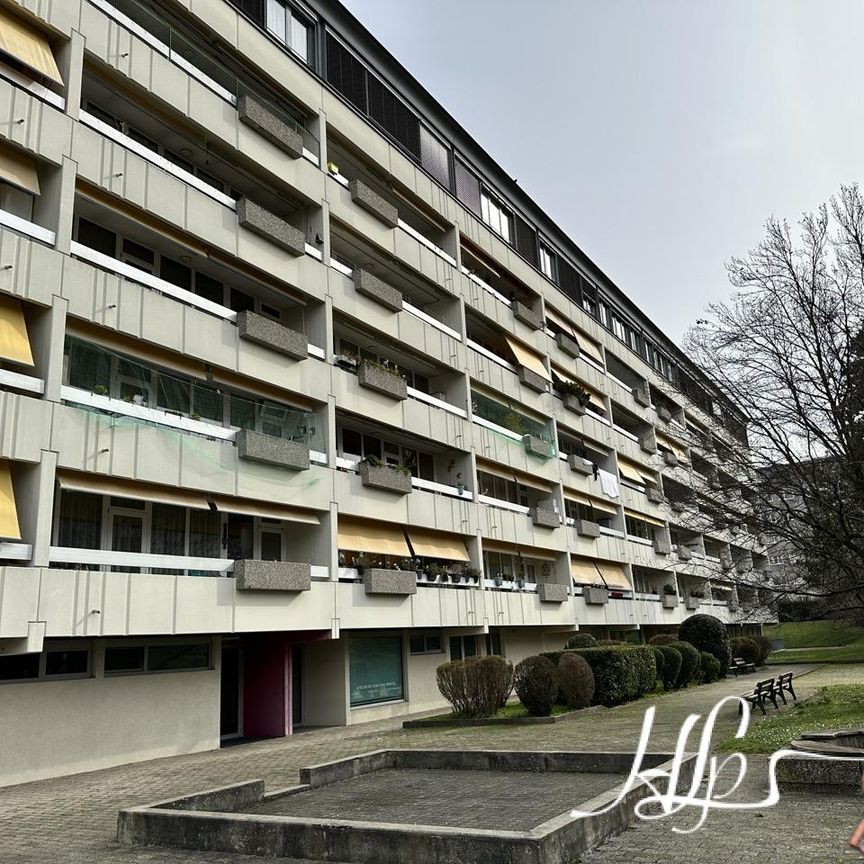 Avenue de Vaudagne 56, Meyrin, Suisse, 1217 - Photo 1