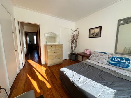 5060 Rue Parthenais, app.1, H2H 2A3, H2H 2A3, Montréal - Photo 2