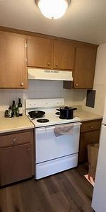 October 3rd, Updated One bedroom/bath/Parking Available! - Photo 4