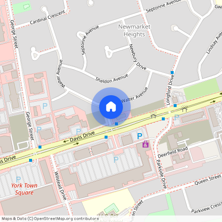 43 Walter Avenue Unit# lower back unit, Newmarket