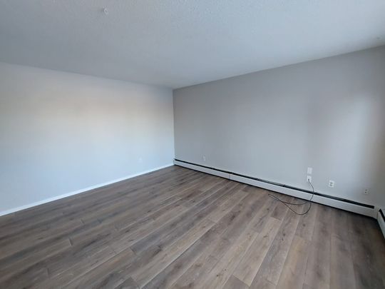 2 Bedroom Main Floor in Glendale! - Photo 1