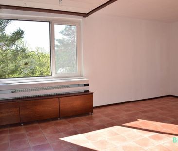 Sonnige 2-Zimmerwohnung in Parkanlage inkl. Privatparkplatz- Ruhelage - Photo 1