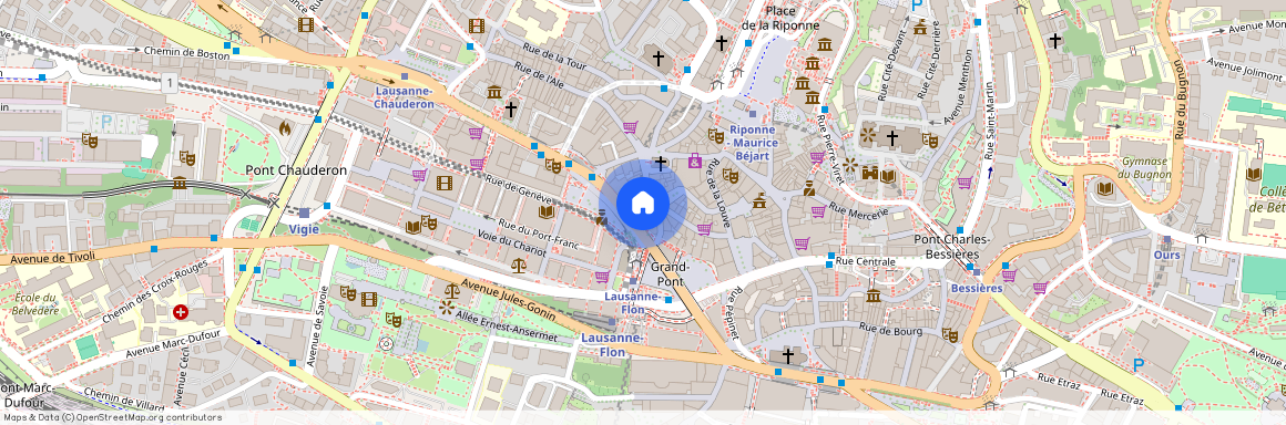 Rue du Grand - Pont 8, 1003 Lausanne