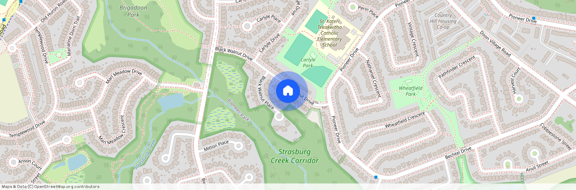 38 Black Walnut Drive #1, Kitchener