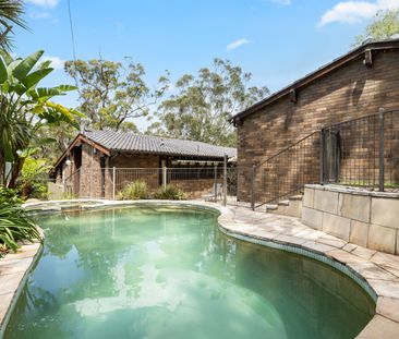 8 Whitehaven Street, St Ives NSW 2075 - House For Rent | Domain - Photo 6