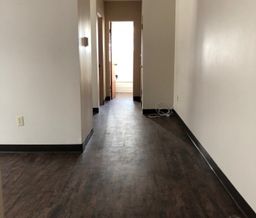 422 4th Ave N, 1 bedroom Clean, Bright and Spacious Suite with On S... - Photo 3