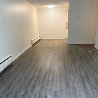 Large 1bedroim w/patio - Photo 4