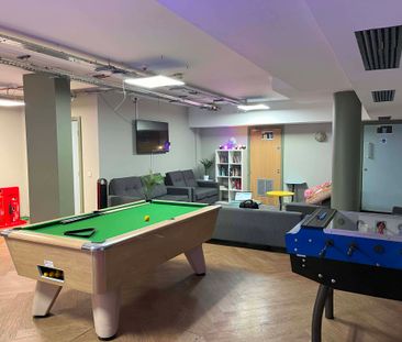 Double Wheelchair Accessible Studio - Photo 5