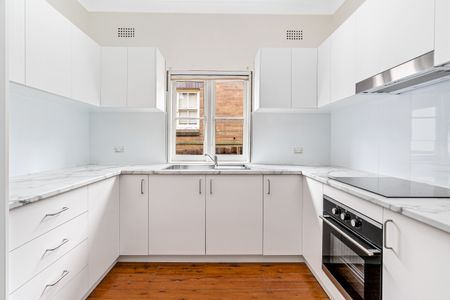 13 Robert Street, Canterbury NSW 2193 - House For Rent | Domain - Photo 3