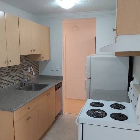 Kitsilano 1bdrm close to Kits beach - avail now - Photo 3