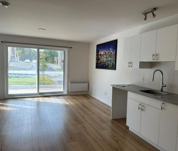 41/2 disponible 1er novembre à Mont-Blanc - Photo 3