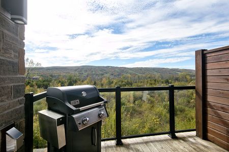 For Lease - 18 Beckwith Lane Unit# 404, Blue Mountains, Ontario - Photo 5