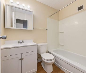 Renovated Suite - 1 Bedroom - Photo 2