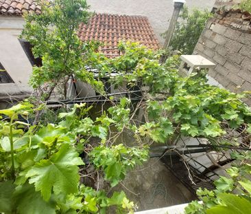 Studio/Γκαρσονιέρα για ενοικίαση Αφάλωνας (Λέσβος - Μυτιλήνη) - Photo 6