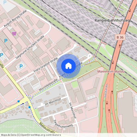 Franz-Grashofstr. 42, 68199 Baden-Württemberg - Mannheim