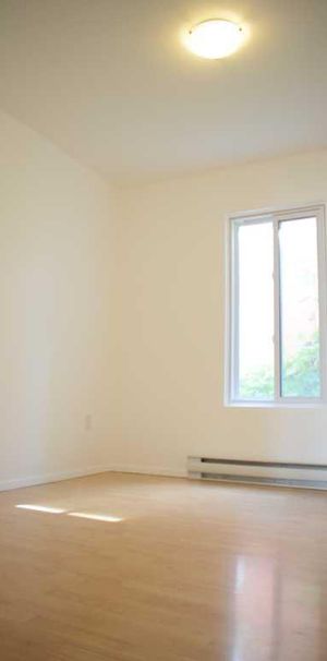 Grand logement 4 1/2 rénové disponible pour octobre - Photo 1