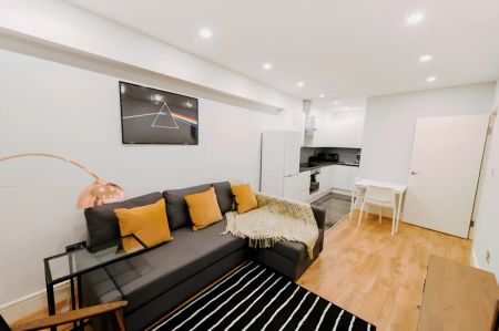 1 Beds 1 Bathroom - Photo 4