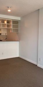 Modern 1 Bed, 1 Bath High Rise Condo with Parking for Rental - Photo 4