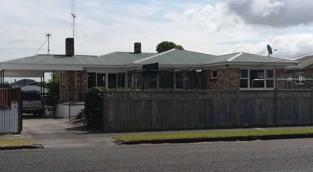 Sunny house with large section in central location - Photo 1