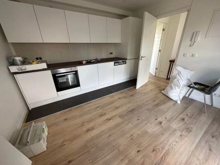 Appartement Willem Vliegenstraat, Maastricht - À Louer - Photo 2