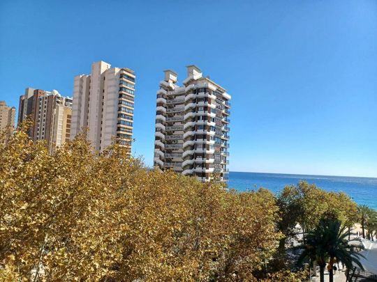 3 room luxury Apartment for rent in Benidorm, Spain - Photo 1