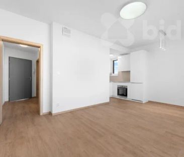 Pronájem 2+kk v novostavbě - Kladno - Photo 2