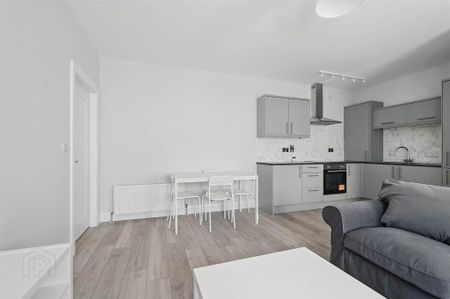 Apt 3, 37 Wellington Park, Lisburn Road, Belfast, BT9 6DN - Photo 2
