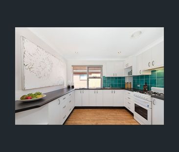12/46 Wyndora Avenue, Freshwater, NSW 2096 - Photo 5